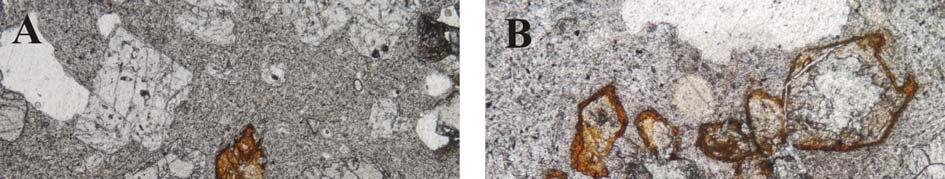 226 11/a. ábra: mikroszkópos felvétel (1N): izolált limonit-hematit aggregátum (olivin utáni pszeudomorfóza) (Domoszló, 1. típus). / 11/b.