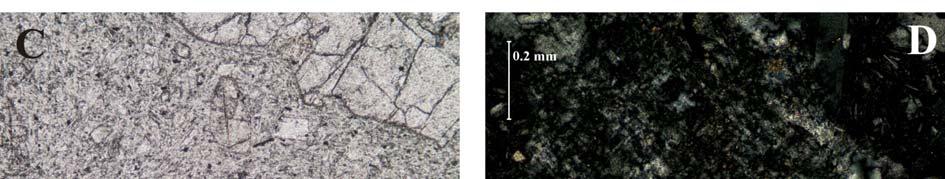 : photomicrograph (1N): group of limonite-hematite aggregates (pseudomorphs after olivine) (Domoszló, type 1). / Fig. 11/c.: photomicrograph (1N): ilmenite in the groundmass (Domoszló, type 1). / Fig. 11/d.