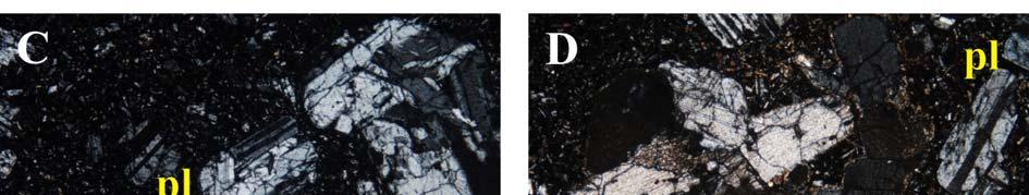 : photomicrograph (+N): rock texture with plagioclase phenocrysts and cumuloporphyrs; much more crystallized groundmass (Domoszló, type 2). / Fig. 12/b.