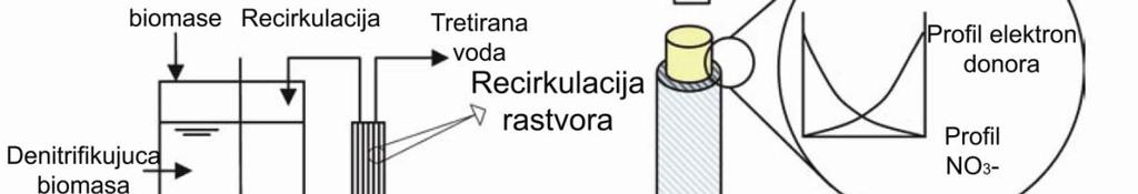 Ekstraktivni membranski bioreaktor Extraktív membrános bioreaktor