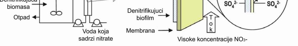 bioreaktor identičan ekstraktivnom membranskom procesu