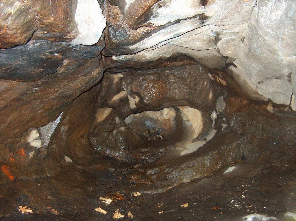 2 9. ábra: A Zsivány-barlang belseje a gömbfülke jellegű formákkal (FOTO: Prakfalvi P. 2006).