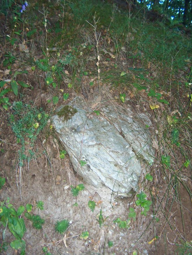 20 A Kiskőtől Ny-ra mintegy 4 km-re mélyült egy földtani feltáró fúrás. Ebben igen jól tanulmányozhatók azok a faunás (Bárnai Tagozat) rétegek, amelyek Kiskő környékén nincsenek feltárva.