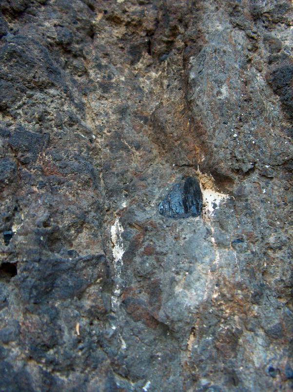 25 22. ábra: A freatomagmás vulkáni tevékenység egyik közvetett bizonyítéka a köpenyből felszállított megakristály a kürtőbreccsa anyagában (FOTO: Prakfalvi P. 2005).