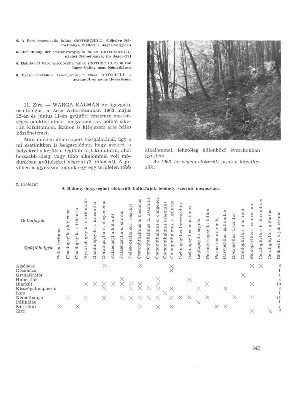 6. A Peromyscopsylla fallax (ROTHSCHILD) élőhelye Németbánya mellett a Jáger-völgyben 6. Der Biotop der Paromyscopsylla fallax (ROTHSCHILD) nächst Németbánya, im Jáger-Tal 6.