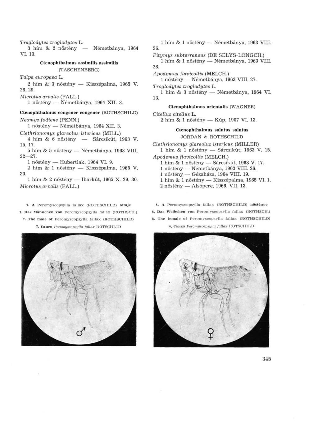 Traglodytes troglodytes L. 3 him & 2 nőstény Németbánya, 1964 VI. 13. Ctenophthalmus assimilis assimilis (TASCHENBERG) Talpa europaea L. 2 him & 3 nőstény Kisszépalma, 1965 V. 28, 29.