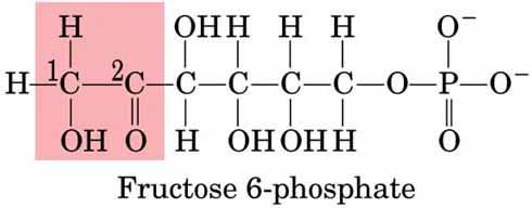 Hexóz-foszfát-izomeráz Reverzibilis aldóz-ketóz
