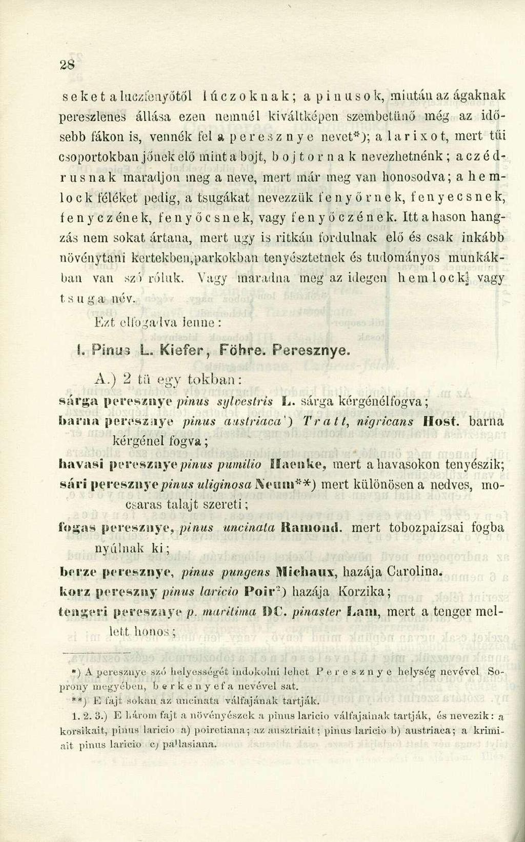 seke t aluczíenyőtől lúczoknak; a pi uusok, miután az ágaknak pereszlenes állása ezen nemnél kiváltképen szembetűnő még az idősebb fákon is, vennék fel aperesznye nevet*); a 1 a r i x o t, mert tűi