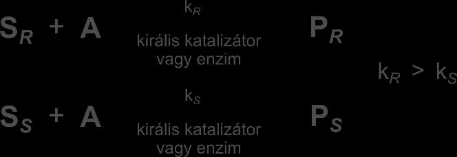 Irodalmi áttekintés 12.
