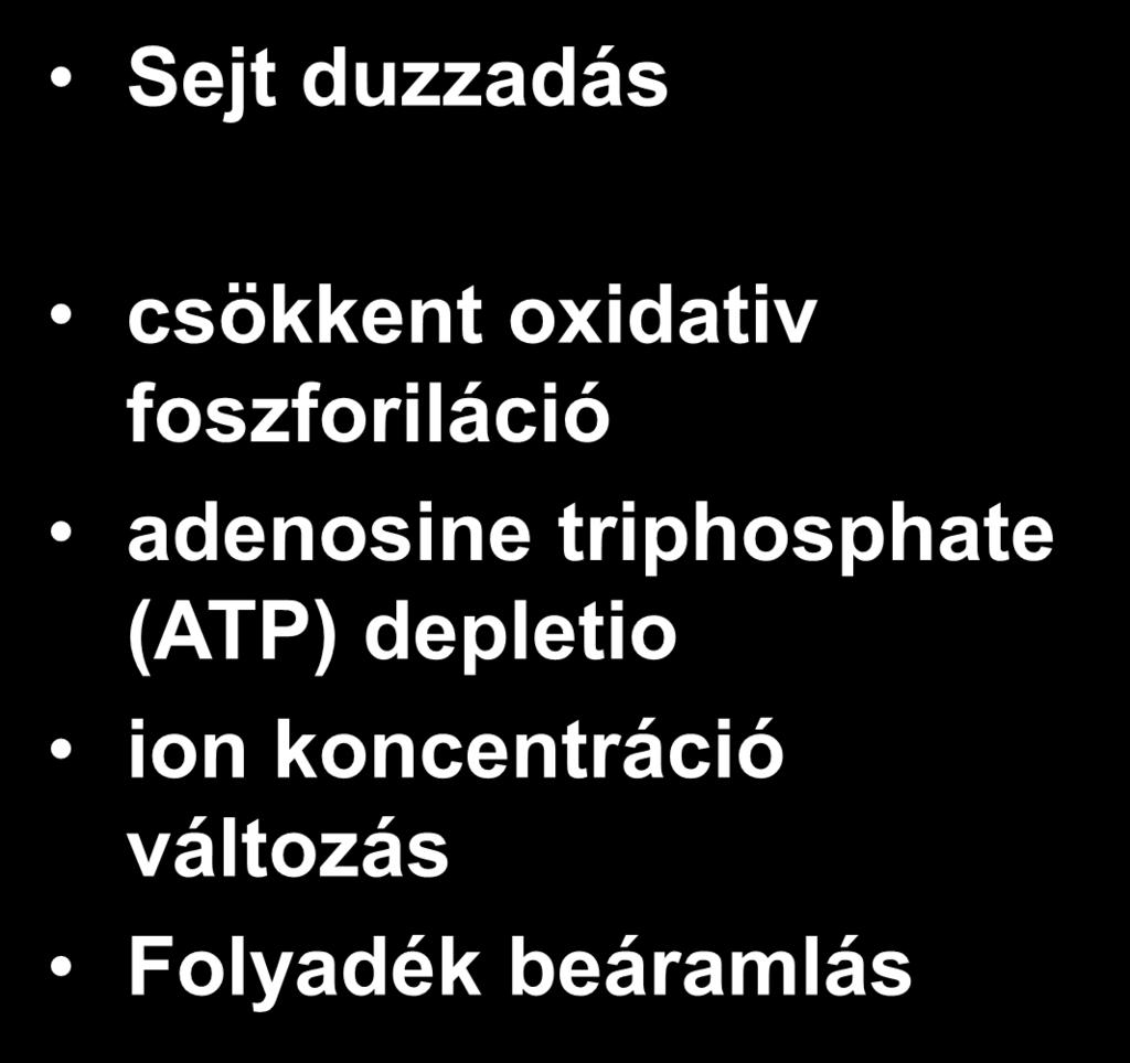 vérszegénységek típusai)