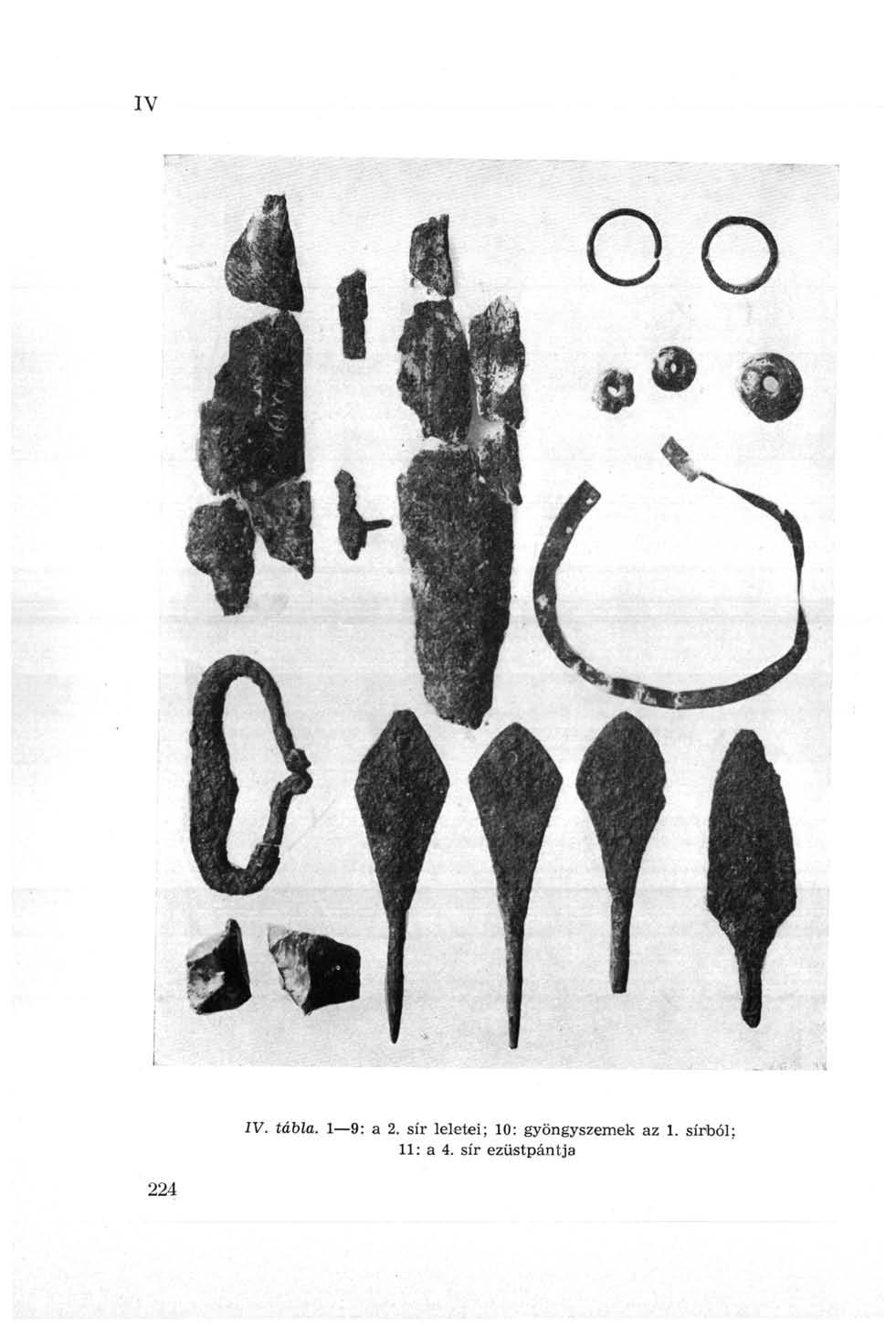 IV ÍV. tábla. 1 9: a 2.