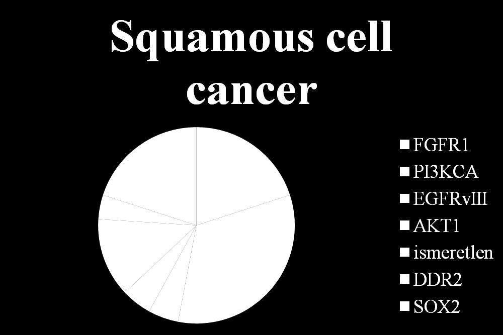 4 20 FGFR1: amplifikáció PI3KCA: amplifikáció (mutáció 3%) EGFRvIII: ECD del AKT1: