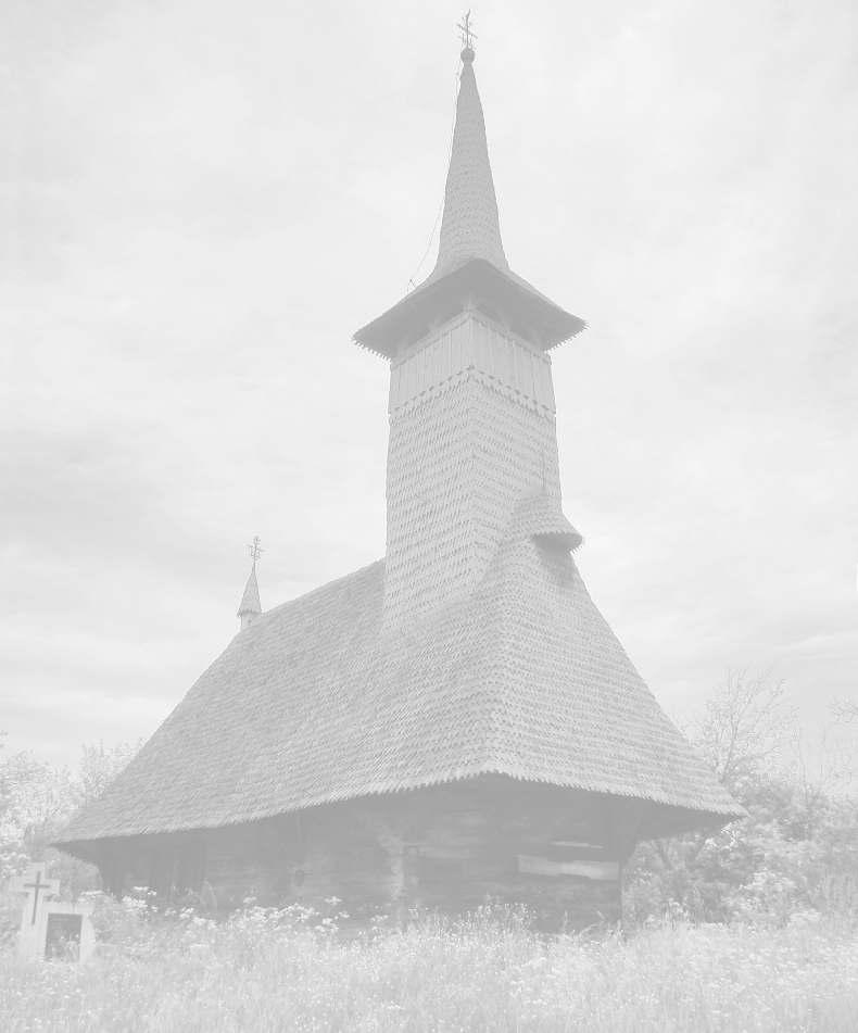 FAMILIA ROMÂNÃ BISERICI DE LEMN DIN MARAMUREª 21 Biserici de lemn din Baia Mare Oraºul Baia Mare are numeroase ºi frumoase locaºuri de cult.