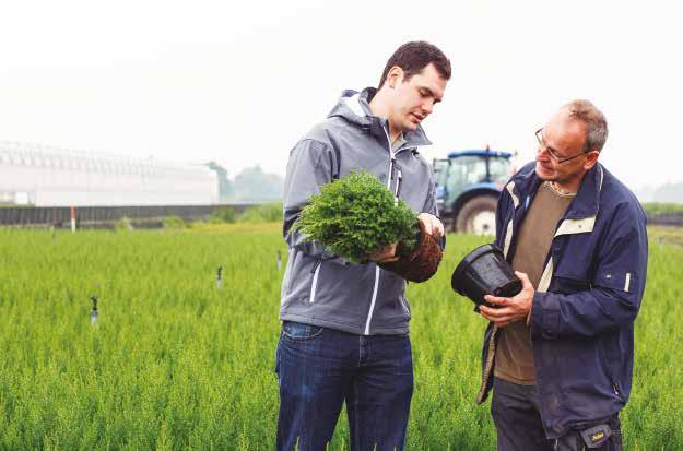 Keresse fel az ICL Specialty Fertilizers tanácsadóját