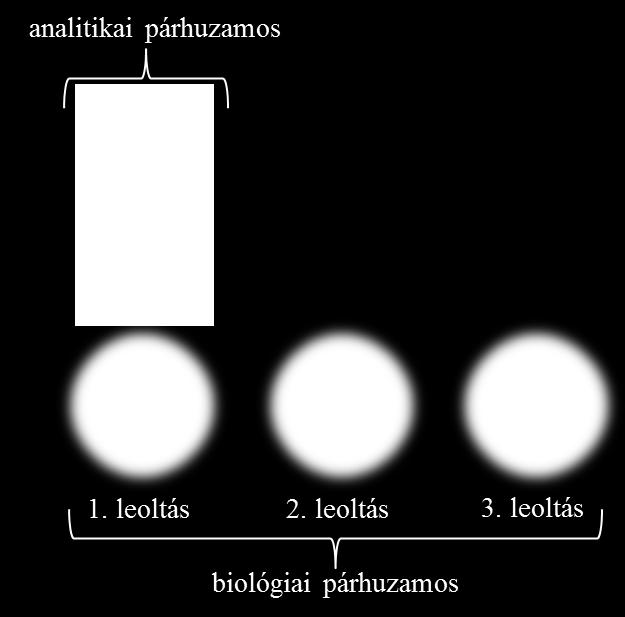 A vizsgálat során nem csak analitikai, hanem biológiai párhuzamosokat is mértem az egyes organizmusokból, azaz amellett hogy egy leoltást több párhuzamosban is megmértem, ugyanazon penész több