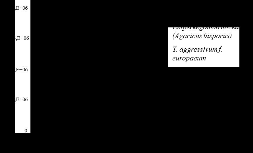 22. ábra: T. aggressivum f.