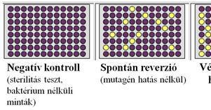 Mutációk