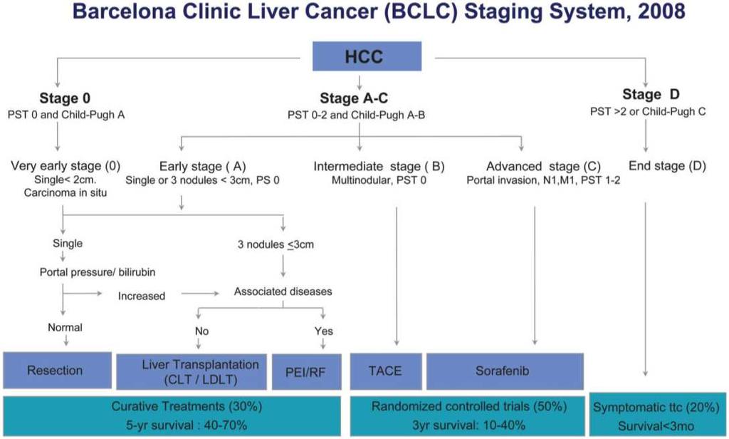 Llovet J.M., Bruix J. Hepatology 2008.