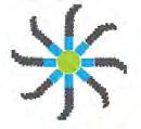 receptorokat az endotheliumban