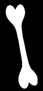 IL-1β IL-6 Endothel sejt Csont Agy
