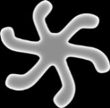 inflammaszóma IMMUNSEJT Inaktiv inflammaszóma Kaszpáz-1