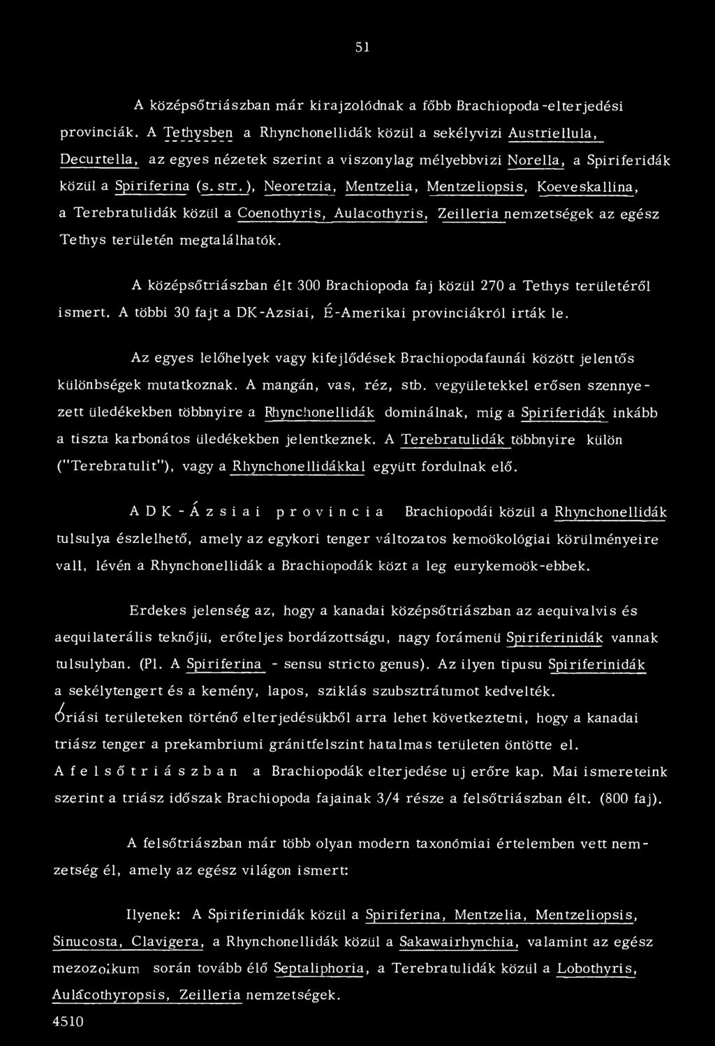 ), Neoretzia, Mentzelia, Mentzeliopsis, Koeveskallina, a Terebratulidák közül a Coenothyris, Aulacothyris, Zeilleria nemzetségek az egész Tethys területén megtalálhatók.