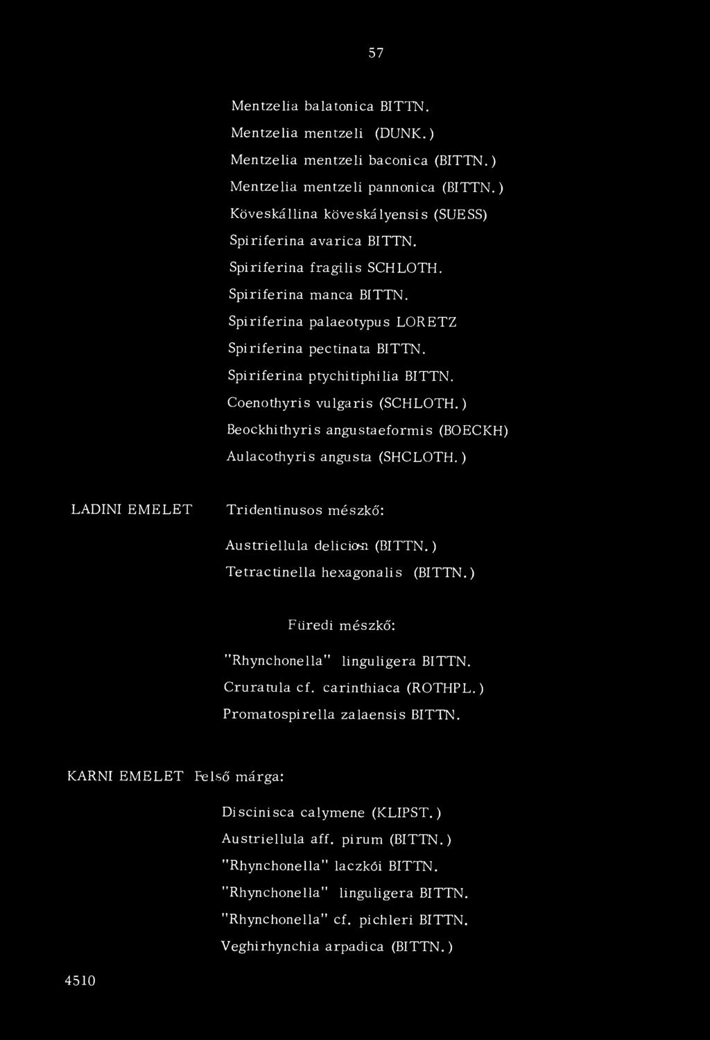 ) Beockhithyris angustaeformis (BOECKH) Aulacothyris angusta (SHCLOTH.) LADINI EM ELET Tridentinusos mészkő: Austriellula delician (BITTN.) Tetractinella hexagonalis (BITTN.