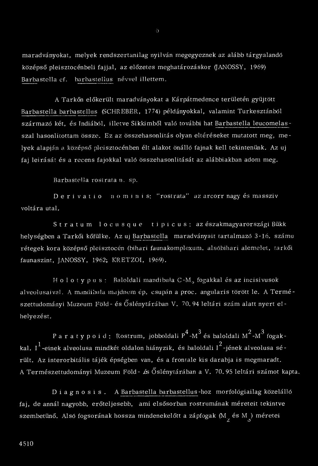 A Tarkőn előkerült maradványokat a Kárpátmedence területén gyűjtött Barbastella barbastellus (SCHREBER, 1774) példányokkal, valamint Turkesztánból származó két, és Indiából, illetve Síkkimből való
