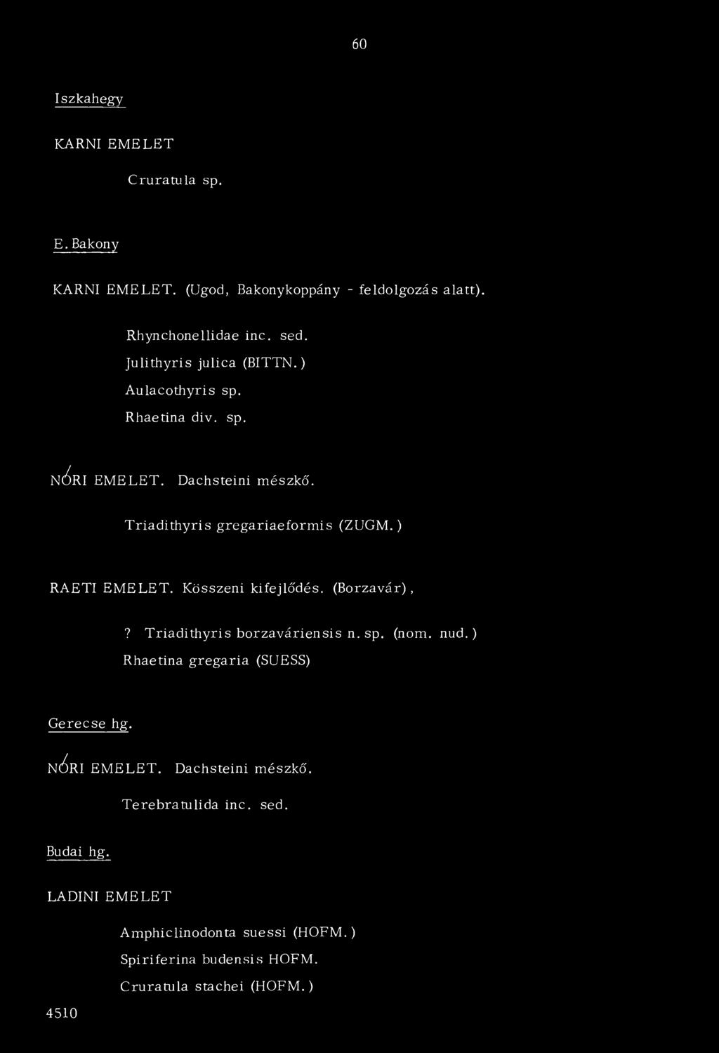 ) RAETI EM ELET. Kösszeni kifejlődés. (Borzavár),? Triadithyris borzaváriensis n. sp. (nőm. nud.) Rhaetina gregaria (SUESS) Gerecse hg.
