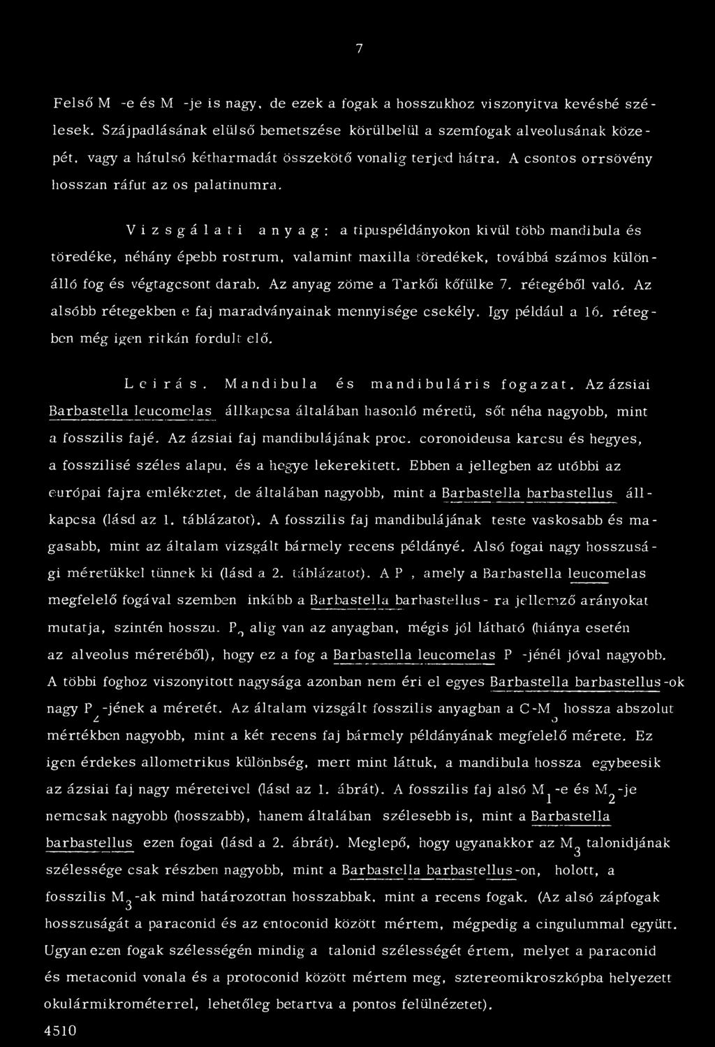 Vizsgálati anyag: a tipuspéldányokon kívül több mandibula és töredéke, néhány épebb rostrum, valamint maxilla töredékek, továbbá számos különálló fog és végtagcsont darab.