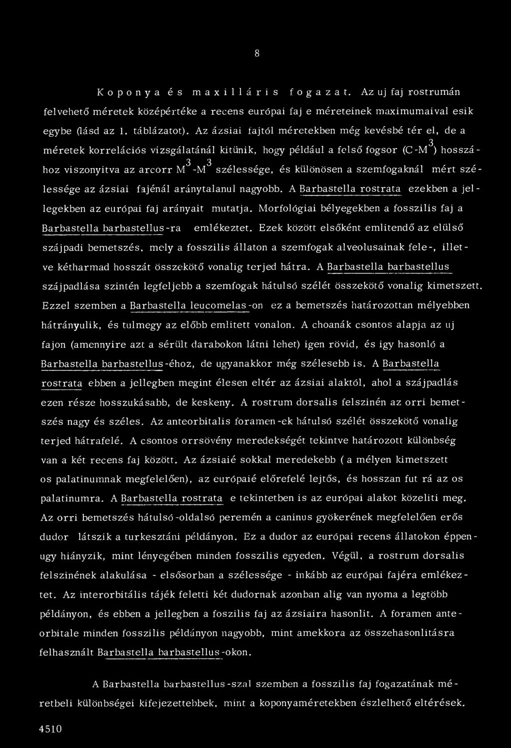 különösen a szemfogaknál mért sz é lessége az ázsiai fajénál aránytalanul nagyobb. A Barbastella ro strata ezekben a je l legekben az európai faj arányait mutatja.