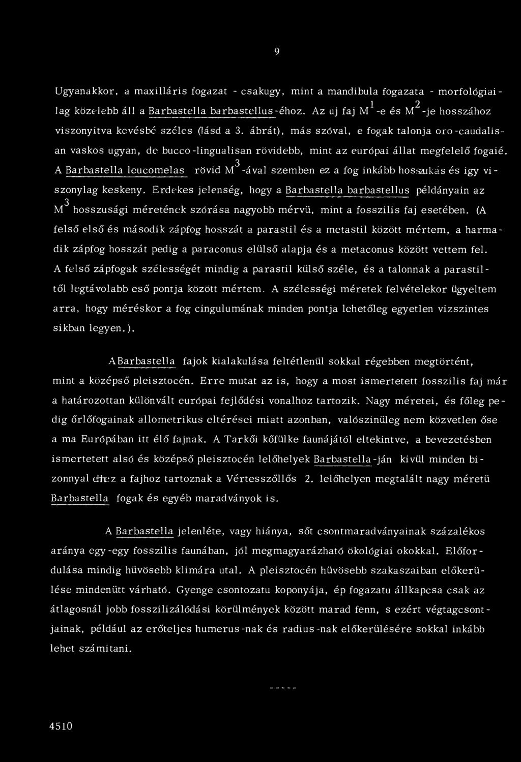 ábrát), más szóval, e fogak talonja oro-caudalis- an vaskos ugyan, de bucco-lingualisan rövidebb, mint az európai állat megfelelő fogaié.