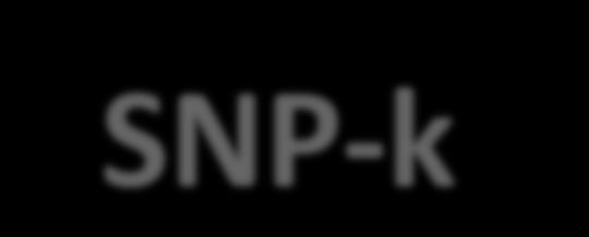 SNP-k 17.