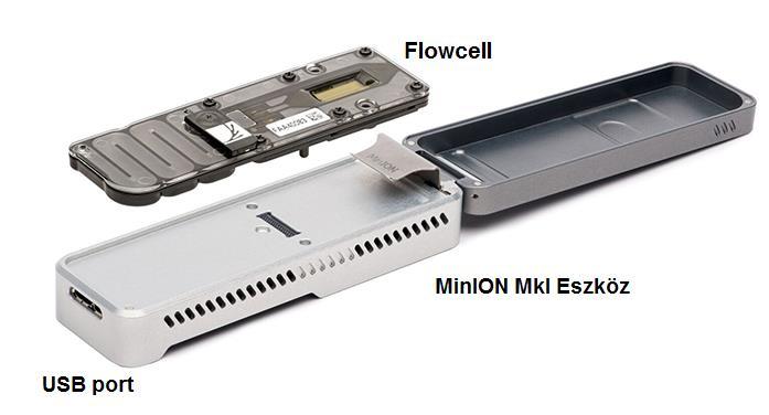 Nanopore