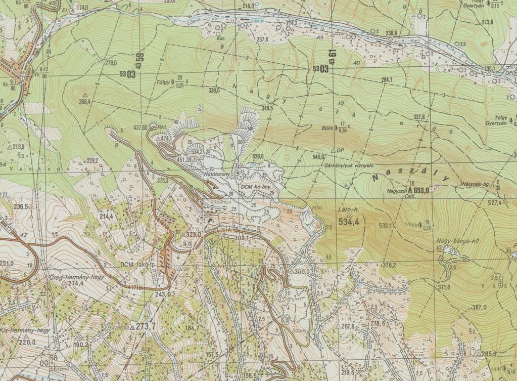 11.6. ábra: 1979. Topográfiai térkép (részlet). M=1:25.000.