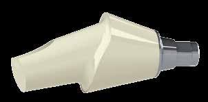 Also, our CERICX-zirconium abutment series is suitable for the Cerec scan impressions and the following grinding with the Cerec - and e.max glass-ceramic crowns.