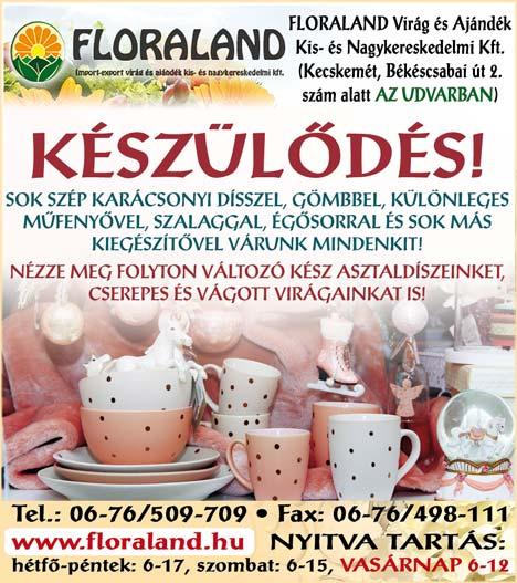 VISSZÉR betegség injekciós vagy műtéti kezelése, SÉRVEK és egyéb kisebb műtétek =