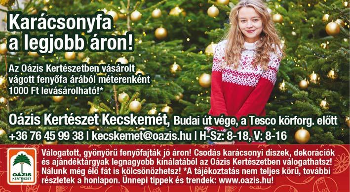 Könnyen díszíthető, mivel ágai rendezettek. Már Magyarországon is a legnépszerűbb helyért versenyez a HOGYAN VÁLASSZUNK KARÁCSONYFÁT?