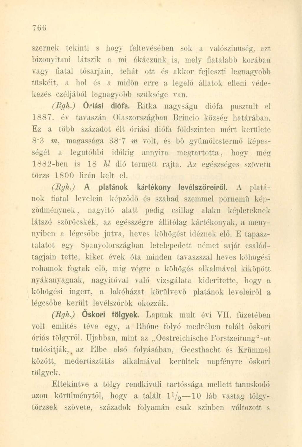 szernek tekinti s hogy feltevésében sok a valószínűség, azt bizonyítani látszik a mi ákáczűnk is, mely fiatalabb korában vagy fiatal tősarjain, tehát ott és akkor fejleszti legnagyobb tüskéit, a hol