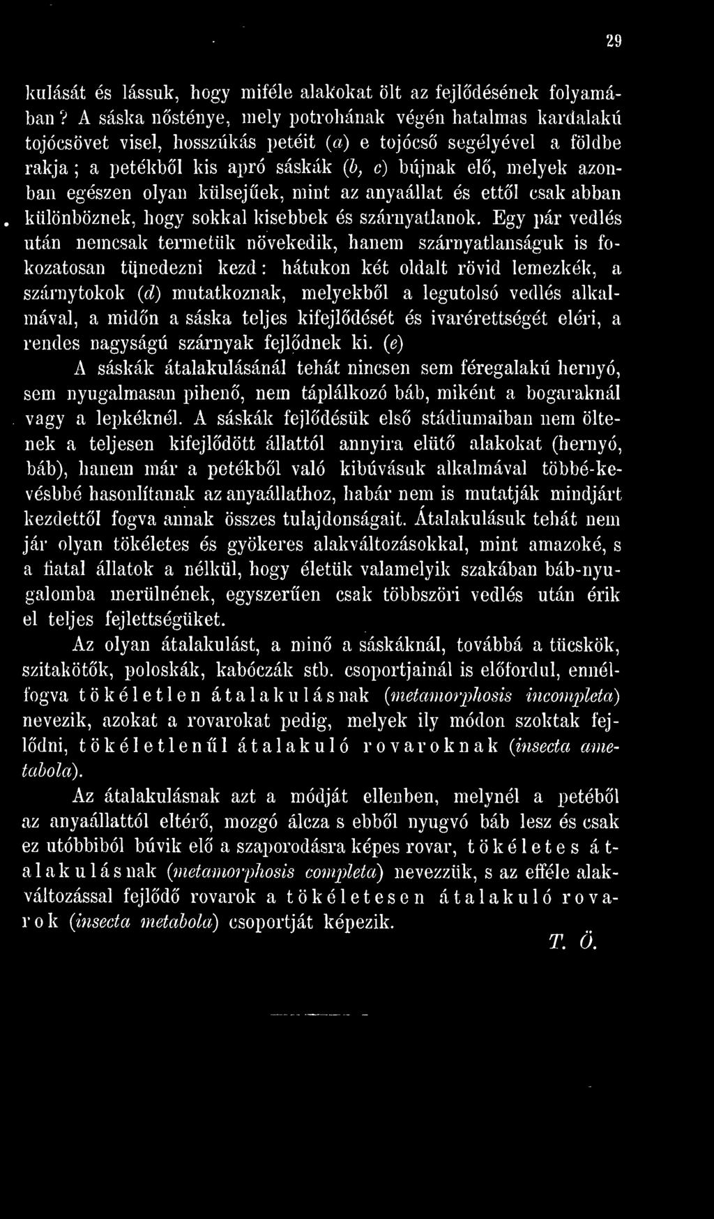 (e) A sáskák átalakulásánál tehát nincsen sem féregalakú hernyó, sem nyugalmasan pihen, nem táplálkozó báb, miként a bogaraknál vagy a lepkéknél.