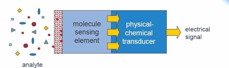 BIOSZENZOR DEFINÍCIÓJA (IUPAC) BIOÉRZÉKELİK A biosensor is a self-contained integrated device, which is capable of providing specific quantitative or semiquantitative analytical information using a