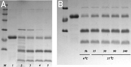 Ez az arány jelentősen különbözik a hagyományos tripszinek esetében a kötött inhibitorban kialakult, fent említett aránytól.