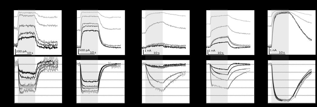 Inh offset (s)