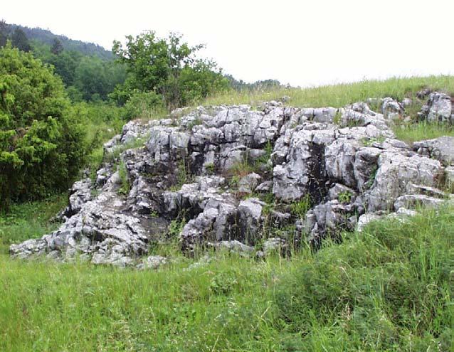 KIRÁNDULÁSVEZET A Bretkai Formációt vastagpados, sárgásszürke mészk konglomerátum, és alárendelten biodetrituszos mészk építi fel, helyenként agyagosabb betelepülésekkel.