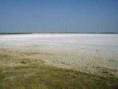 : The Water Framework Directive: can more information be extracted from