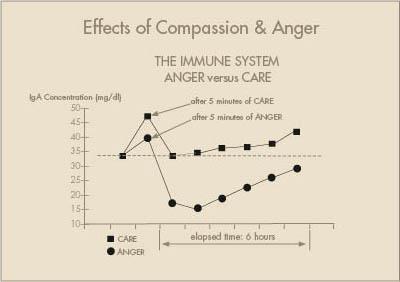 The graph above the impact of one 5-minute episode of recalled anger on the immune antibody IgA over a 6-hour period.
