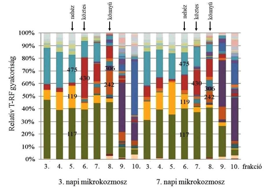 4.13 ábra A nehéz és könnyű DNS csúcsok elkülönítése a 16S rrns gén abundanciája alapján 4.2.