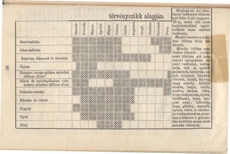 Vadászai napár a vadászaró szóó 3