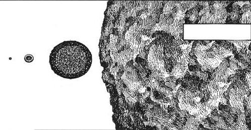 Ion Cantacuzino Technikai fejlıdés Ruska (1934) elektronmikroszkóp felfedezése vírusok vizualizálása Vírusok tenyésztése - szövet- és sejttenyészeteken, csirkeembrióban, állatokban Védıoltások