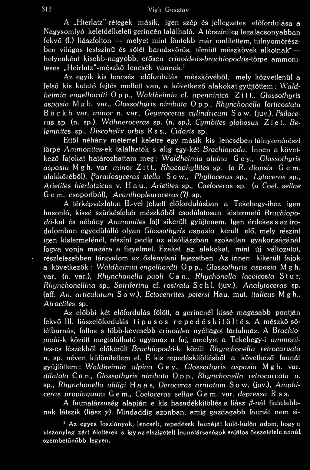 ammoniteses Heirlatz -mészk lencsék vannak.